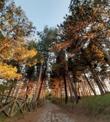 Il Campanile Civico 35