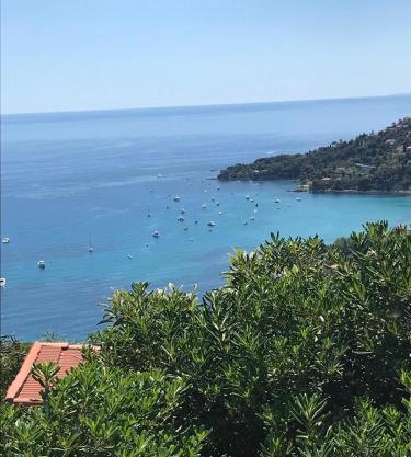 Il mare tra gli olivi