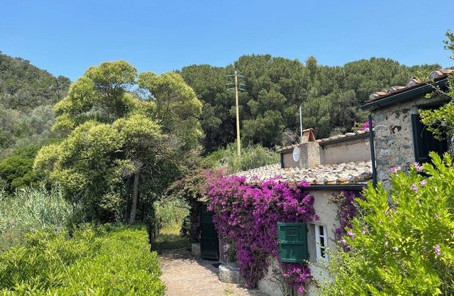 Il Molino – A Historic Watermill Retreat on Elba Island