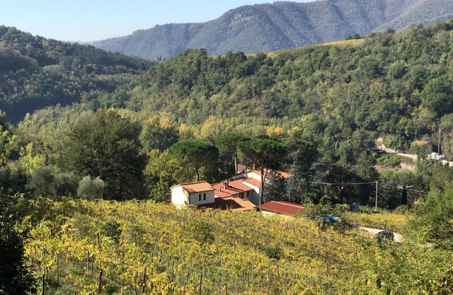 Il Poggiolo ai Casini