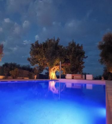 Il Vecchio Carrubo - Villa con piscina a sfioro