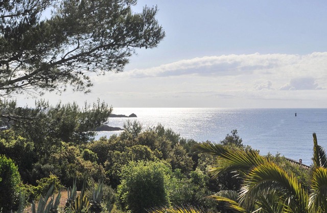 In a garden of all kinds of plants and flowers ., apartment 1