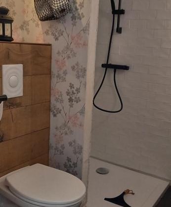 In het spoor van de wolf