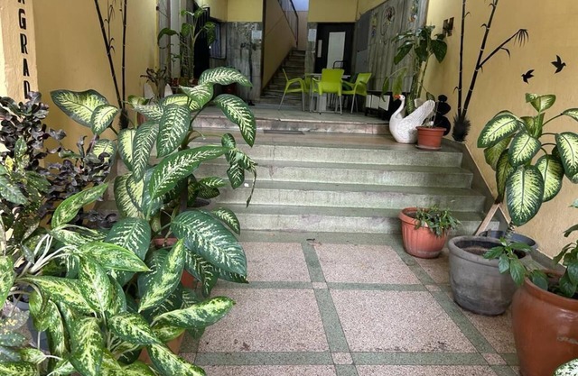 In the Center of the City, With easy access to the main atractive places.