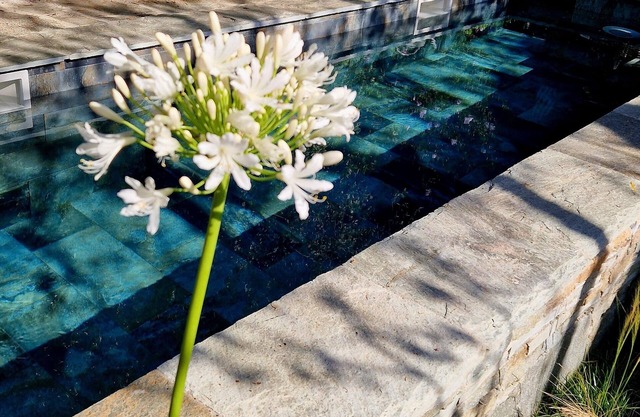 In the heart of Conca d'Oru, apartment with garden and pool.