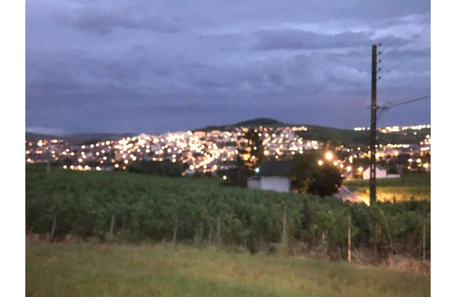 In the heart of Champagne's vineyards