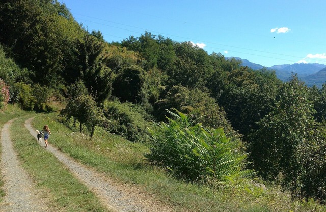 Independent apartment between the Tuscan vineyards