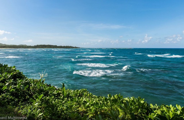 Island Hibiscus Hale- Ocean Views, Whale watching, AC