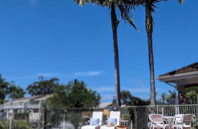 Island Palms Motor Inn