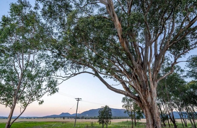 Janie's Cottage - Secluded Wine Country Home