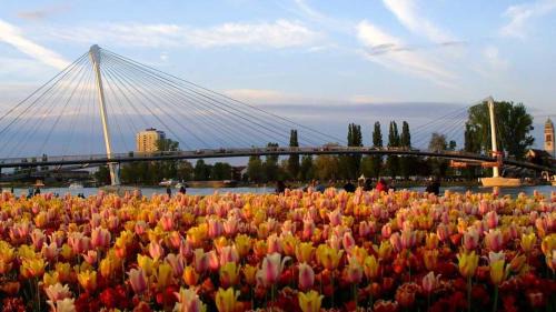 Jardin des Deux Rives