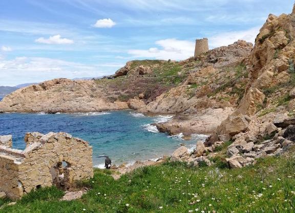 Joli appartement en Corse avec piscine