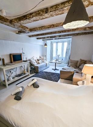 JoyJoyJoy the White Wilde ecolicious studio in a historic Canalhouse from 1799 with terrace at the canals