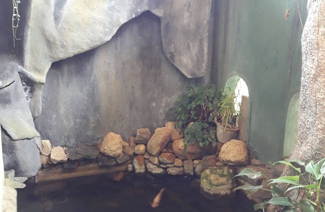 Ka Mario Guesthouse