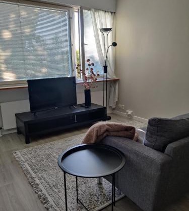 Kaunis yksiö kotkansaarella