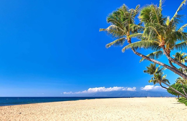 KBM Resorts | 2 FREE CARS | Honua Kai Luana | Ground Floor 6-Bedroom Suites | Private Outdoor Kitchens! HKL-12A/B