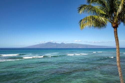 KBM Resorts FREE CAR Lokelani Oceanfront 2-Bedrooms Condo Recently Remodeled LOK-B201