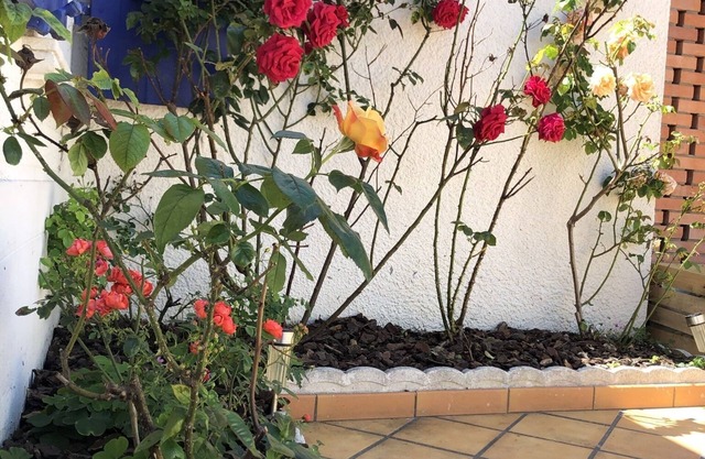 KEROA - Quiet house, near the sea and Arago district