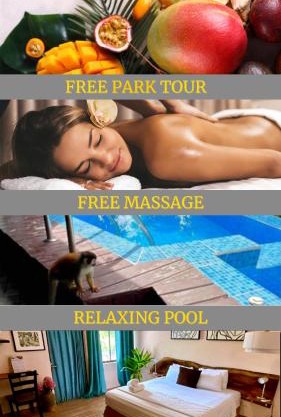 Kika Zaru Free park tour, massage and breakfast