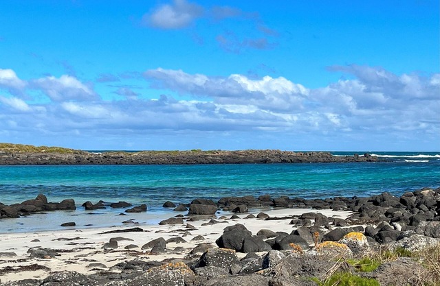 King Tide Townhouse - a luxury stay for families with ocean views