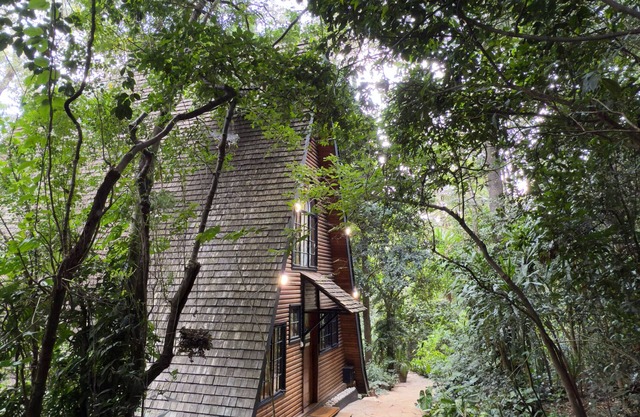 Kivulini A-Frame Cabin Forest-Wake to 360° forest views in a reimagined retreat.