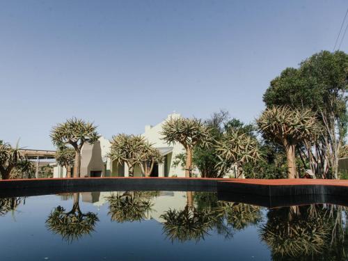 Kokerboom House