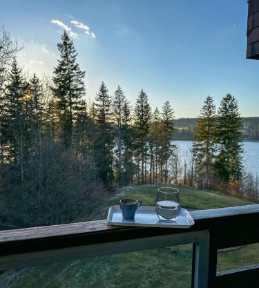 L'écrin du Lac St-Point