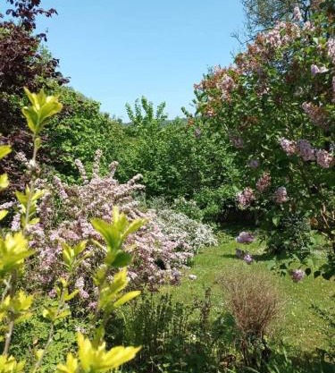 L'escale Arquaise, la maison au jardin fleuri à 5 min de dieppe 7 jours minimum