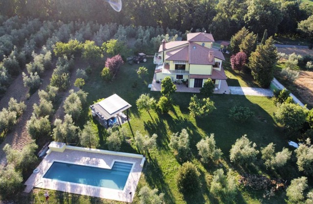 La Casa Nell'Oliveto Bed & Breakfast