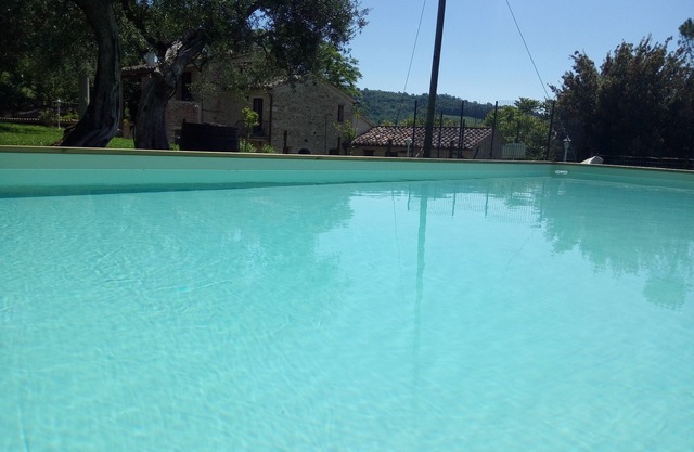 La Collina degli Ulivi (Short Lets/Summer Rentals): Ortensia Apartment