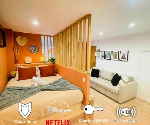 La Demeure des Troubadours - Hyper centre