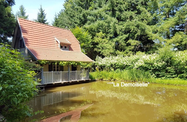 "La Demoiselle" Oct/Nov wonderful colours in the park-X'Mas deco-3 days possible