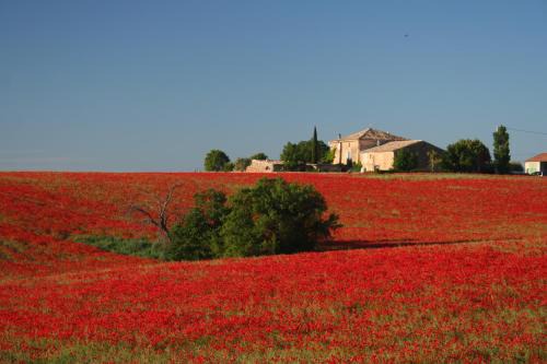 La Feniere, holiday home in the heart of lavender fields with swimming pool