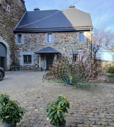 La ferme du château