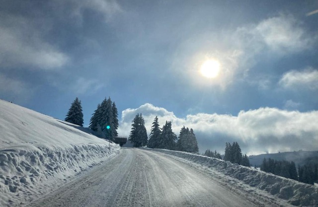 La forêt des Rennes