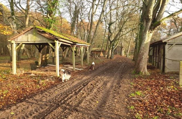 La Maison Babjac, just like home!