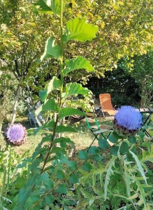 La Maison Bleue de Husseau Ancienne ferme semi-troglodytique 18e siècle