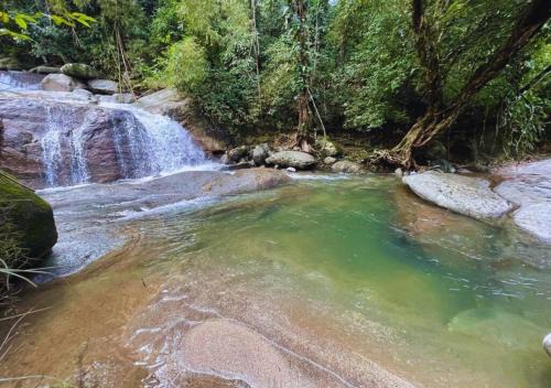 La Merecida, Nature Reserve, Coffee Cocoa Wellness