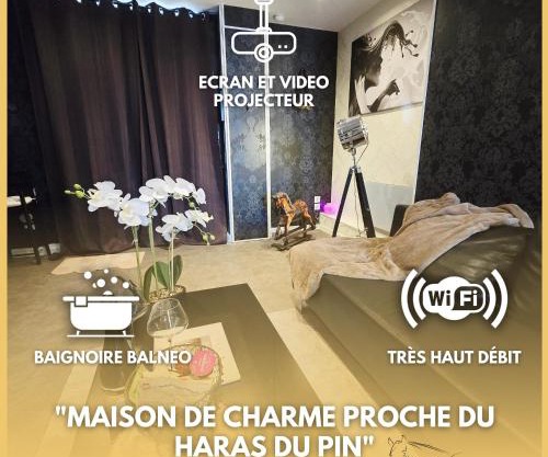 La parenthèse Normande- Balnéo - Vidéo projecteur