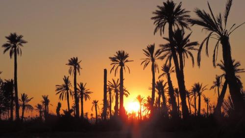 La Rose des Sables