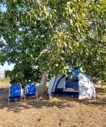 La Sosta del Viandante - Camping