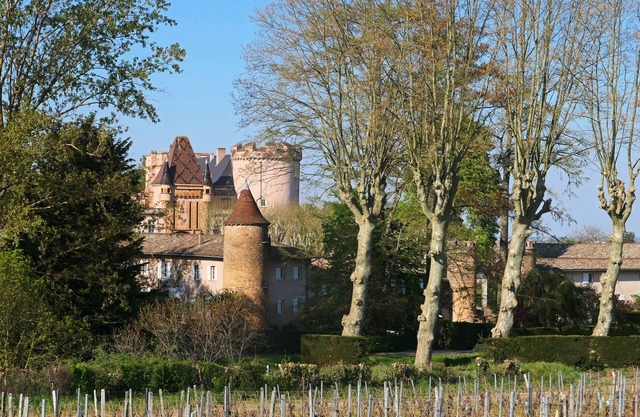La Tour du Château de Chaintré, 4**** Charm, Comfort, Equestrian center, Tennis court