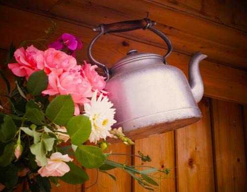 La volante Bouilloire