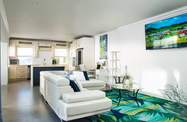 La Vue de Basseterre - Luxurious, private, one bedroom apartment in Bird Rock