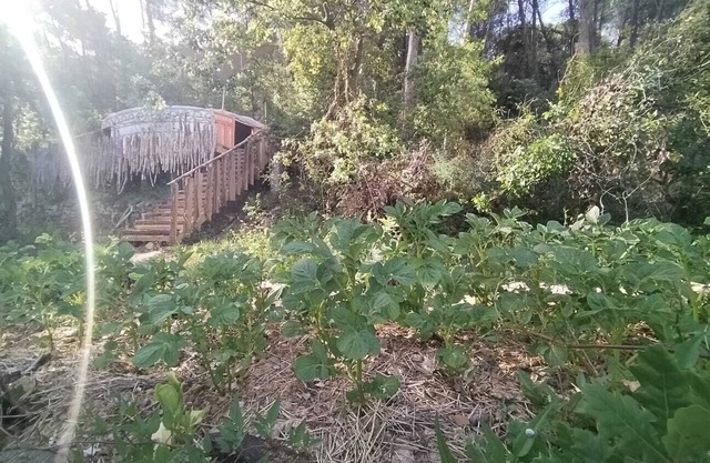 La Yourte du P'tit Mas