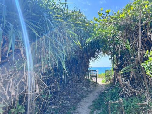 LAGUNA OKINAWA Beachfront - Vacation STAY 30548v