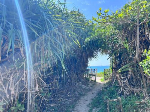 LAGUNA OKINAWA Beachfront YAKA