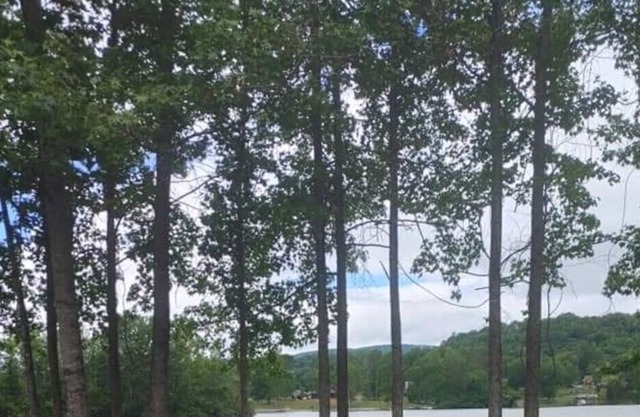 Lake Front RV/Camper Campsite #1