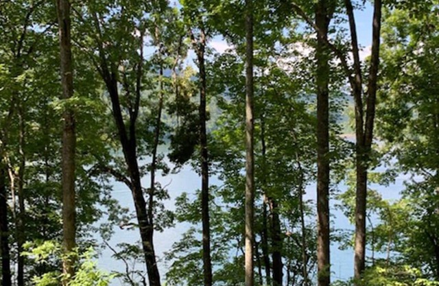 Lakeside Mountain Oasis