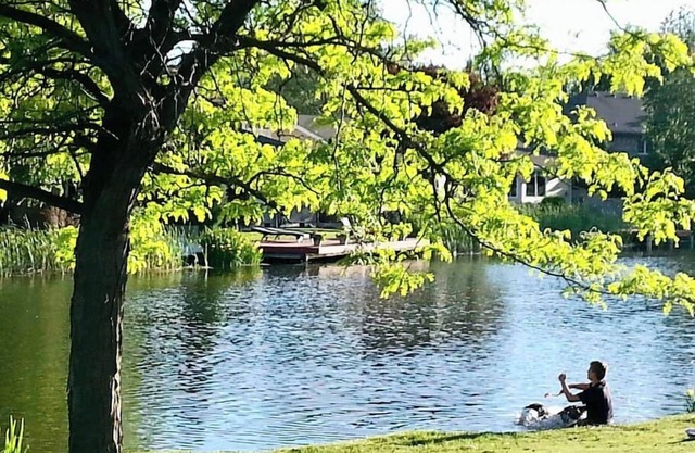 Lakeside Studio -> Kayaks & Bikes included!